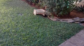 ALQUILAMOS DEPARTAMENTITO SOBRE BOGGIANI CASI NEUDELMAN EN VILLA MORRA