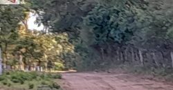 VENDO PROPIEDAD EN NUEVA COLOMBIA!!!!