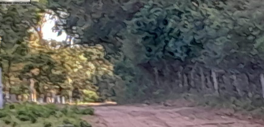 VENDO PROPIEDAD EN NUEVA COLOMBIA!!!!