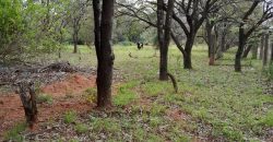 ¡¡¡¡¡VENDEMOS EN VILLA ELISA PROPIEDAD 17.715 m2 CON SALIDA A 3 CALLES!!!!