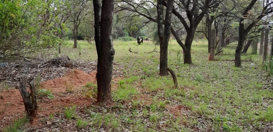 ¡¡¡¡¡VENDEMOS EN VILLA ELISA PROPIEDAD 17.715 m2 CON SALIDA A 3 CALLES!!!!