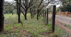 ¡¡¡¡¡VENDEMOS EN VILLA ELISA PROPIEDAD 17.715 m2 CON SALIDA A 3 CALLES!!!!