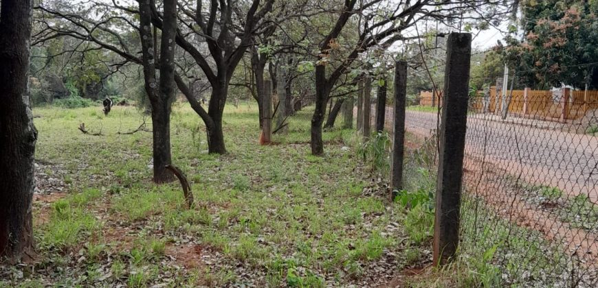 ¡¡¡¡¡VENDEMOS EN VILLA ELISA PROPIEDAD 17.715 m2 CON SALIDA A 3 CALLES!!!!