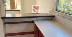 ALQUILER DE AMPLIO DEPARTAMENTO SOBRE LA AVDA. BOGGIANI