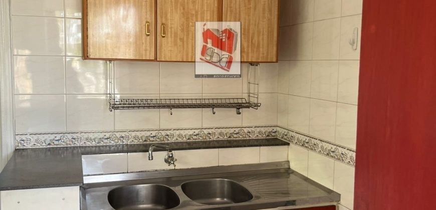 ALQUILER DE AMPLIO DEPARTAMENTO SOBRE LA AVDA. BOGGIANI