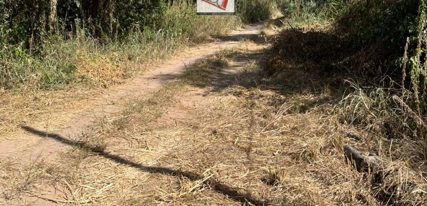 A LA VENTA 2 ESPECTACULARES TERRENOS EN LIMPIO BARRIO ISLA AVEIRO